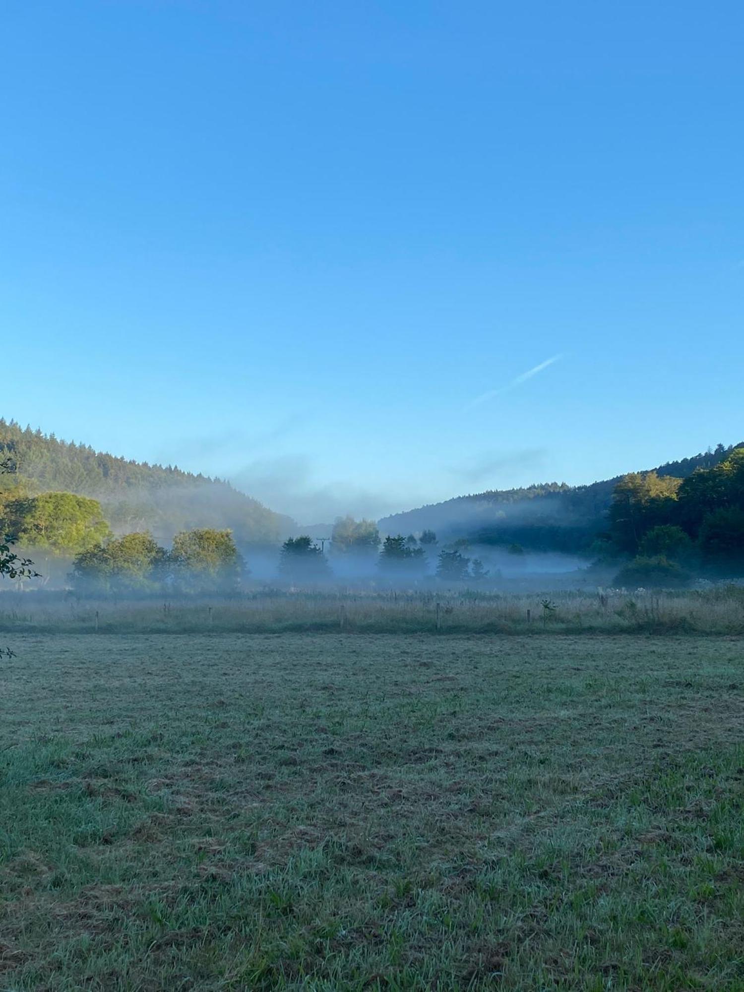 Ferienhaus Vulkaneifel Abtei Himmerod Großlittgen Exterior foto