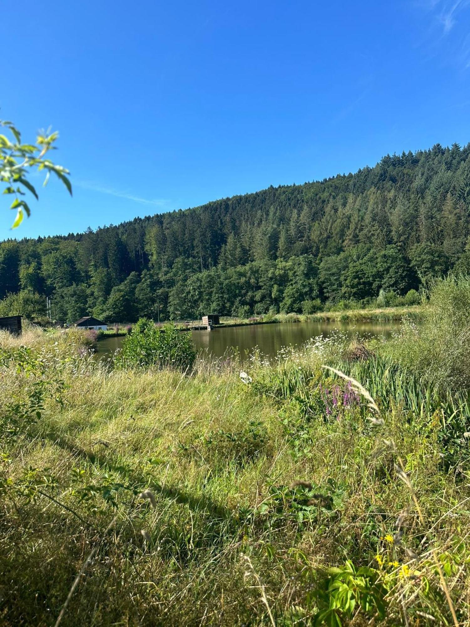 Ferienhaus Vulkaneifel Abtei Himmerod Großlittgen Exterior foto